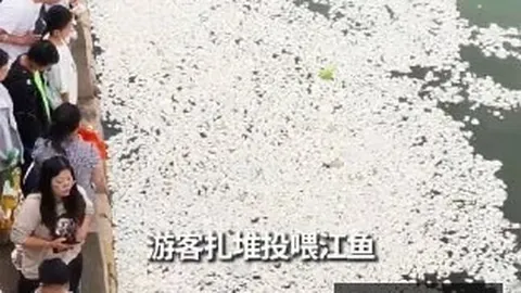 英雄联盟世界赛倒计时，焦点战悬念重重
